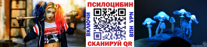 купить наркоту Зеленоградск Галлюциногенные грибы ЛСД
